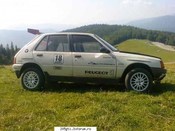 ages along with peugeot 205 tot acolo