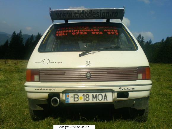 Ages along with my Peugeot 205 - cido - 205