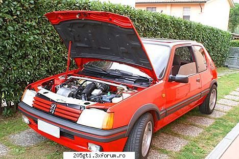 Sub capota - un motor bine intretinut - 205 modele si dotari